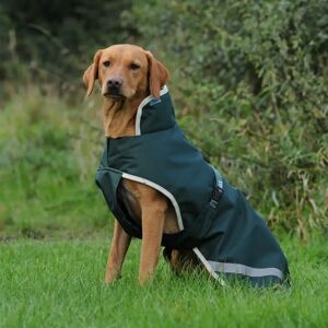 Manteau pour chien Bucas Greenline Vert - Publicité Manteau pour chien Bucas Greenline Vert - Publicité