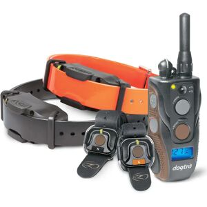 Collier pour chien de dressage Dogtra ARC 1202S Free Plus Noir - Publicité Collier pour chien de dressage Dogtra ARC 1202S Free Plus Noir - Publicité