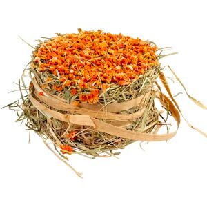 Balle à foin garniture carotte Duvoplus Orange - Publicité Balle à foin garniture carotte Duvoplus Orange - Publicité