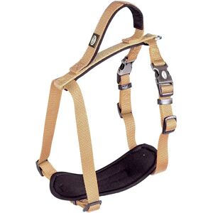Harnais pour chien en nylon Duvoplus Explor North Beige - Publicité Harnais pour chien en nylon Duvoplus Explor North Beige - Publicité