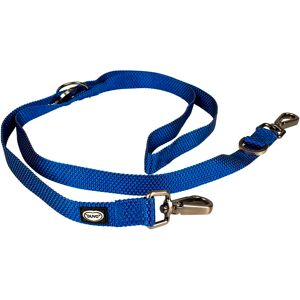 Laisse pour chien en nylon Duvoplus Explor East Duo Bleu - Publicité Laisse pour chien en nylon Duvoplus Explor East Duo Bleu - Publicité