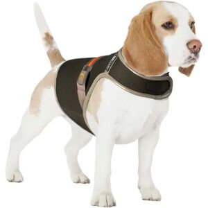 Gilet de sécurité pour chien réfléchissant et lumineux avec USB Duvoplus Noir - Publicité Gilet de sécurité pour chien réfléchissant et lumineux avec USB Duvoplus Noir - Publicité