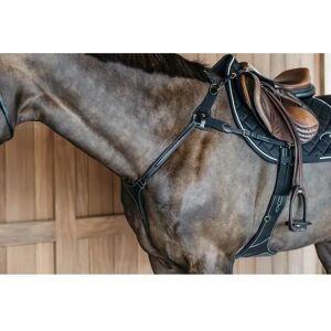 Dyon Collier de chasse 5 points avec élastique pour cheval Dy'on Noir - Publicité Dyon Collier de chasse 5 points avec élastique pour cheval Dy'on Noir - Publicité