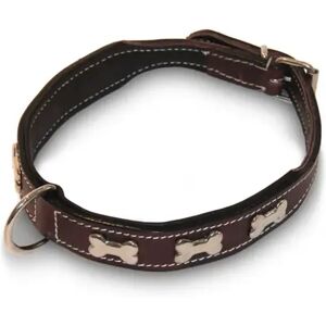 Collier plat pour chien avec os HFI Noir - Publicité Collier plat pour chien avec os HFI Noir - Publicité