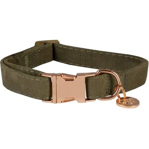 Collier pour chien en velours HORKA Vert - Publicité Collier pour chien en velours HORKA Vert - Publicité
