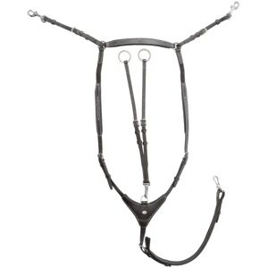 Collier de chasse pour cheval haut avec élastique Kavalkade Dexter Noir - Publicité Collier de chasse pour cheval haut avec élastique Kavalkade Dexter Noir - Publicité