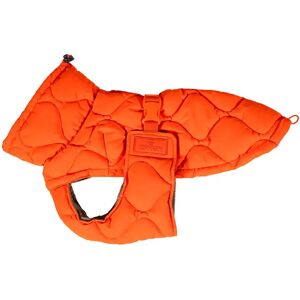 Kentucky Dogwear Manteau pour chien Kentucky Pina Orange - Publicité Kentucky Dogwear Manteau pour chien Kentucky Pina Orange - Publicité