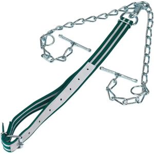 Attache-bovins standard avec châine double Kerbl Vert - Publicité Attache-bovins standard avec châine double Kerbl Vert - Publicité
