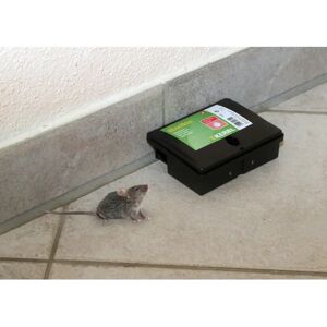 Piège à souris PVC Kerbl BlocBox Peti Noir - Publicité Piège à souris PVC Kerbl BlocBox Peti Noir - Publicité