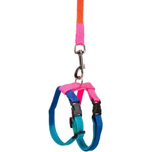 Harnais et laisse pour lapins Kerbl 140cm - Harnais et laisse - Publicité Harnais et laisse pour lapins Kerbl 140cm - Harnais et laisse - Publicité