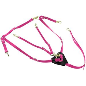 Collier de chasse pour cheval en biothane avec martingale Lakota Rose - Publicité Collier de chasse pour cheval en biothane avec martingale Lakota Rose - Publicité