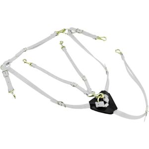 Collier de chasse en biothane avec martingale pour cheval Lakota Blanc - Publicité Collier de chasse en biothane avec martingale pour cheval Lakota Blanc - Publicité