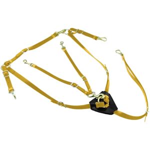 Collier de chasse en biothane avec martingale pour cheval Lakota Jaune - Publicité Collier de chasse en biothane avec martingale pour cheval Lakota Jaune - Publicité