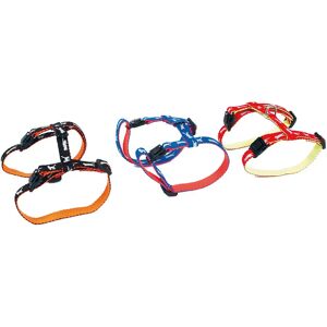 Harnais pour chat réglable nylon Martin Sellier Cat Bico Bleu - Publicité Harnais pour chat réglable nylon Martin Sellier Cat Bico Bleu - Publicité