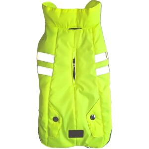 Manteau pour chien Nobby Pet Naupo Vert - Publicité Manteau pour chien Nobby Pet Naupo Vert - Publicité