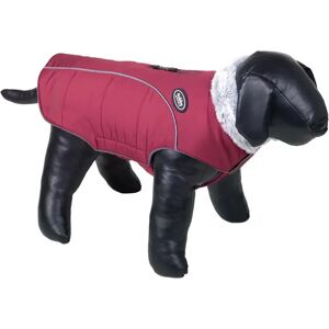 Manteau pour chien Nobby Pet Alva Rouge - Publicité Manteau pour chien Nobby Pet Alva Rouge - Publicité