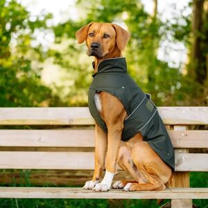 Manteau pour chien Nobby Pet Sela Vert - Publicité Manteau pour chien Nobby Pet Sela Vert - Publicité
