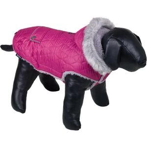 Manteau pour chien Nobby Pet Polar Violet - Publicité Manteau pour chien Nobby Pet Polar Violet - Publicité
