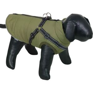 Manteau pour chien 2 en 1 Nobby Pet Salus Vert - Publicité Manteau pour chien 2 en 1 Nobby Pet Salus Vert - Publicité