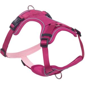 Harnais confort pour chien Nobby Pet Mailo Violet - Publicité Harnais confort pour chien Nobby Pet Mailo Violet - Publicité