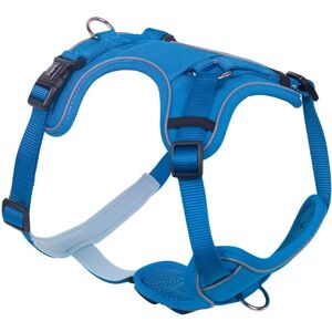 Harnais confort pour chien Nobby Pet Mailo Bleu - Publicité Harnais confort pour chien Nobby Pet Mailo Bleu - Publicité