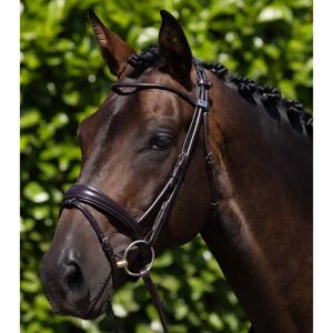 Bride équitation Premier Equine Finetti Marron - Publicité Bride équitation Premier Equine Finetti Marron - Publicité