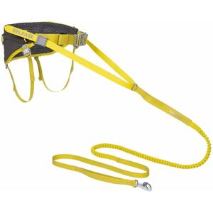 Laisse et harnais pour chien avec une ceinture pour l'homme Ruffwear Omnijore Vert - Publicité Laisse et harnais pour chien avec une ceinture pour l'homme Ruffwear Omnijore Vert - Publicité