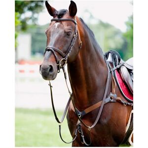 Collier de chasse pour cheval élastique avec martingale Tattini Noir - Publicité Collier de chasse pour cheval élastique avec martingale Tattini Noir - Publicité