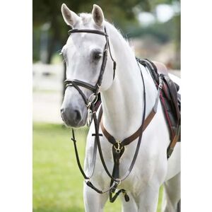 Collier de chasse pour cheval élastique en y avec martingale Tattini Noir - Publicité Collier de chasse pour cheval élastique en y avec martingale Tattini Noir - Publicité