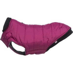 Manteau pour chien Trixie Arlay Rouge - Publicité Manteau pour chien Trixie Arlay Rouge - Publicité