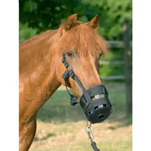 Muselière pour cheval avec sangle USG Noir - Publicité Muselière pour cheval avec sangle USG Noir - Publicité
