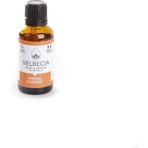 Soin fleur agressif pour chien Velbecia Bach Noir - Publicité Soin fleur agressif pour chien Velbecia Bach Noir - Publicité