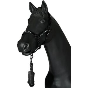 Ensemble licol et longe équitation Vestrum Locri Noir - Publicité Ensemble licol et longe équitation Vestrum Locri Noir - Publicité