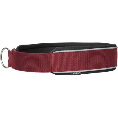 Collier pour chien Back on Track Charlie Rouge - Publicité Collier pour chien Back on Track Charlie Rouge - Publicité