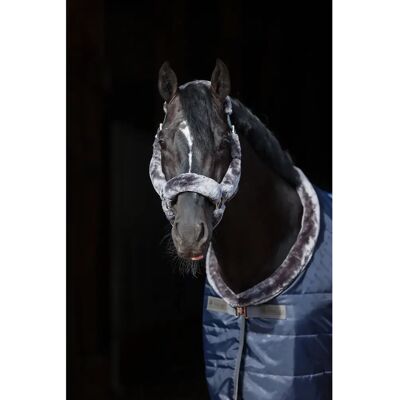 Licol pour cheval Bucas Show-Line Bleu - Publicité Licol pour cheval Bucas Show-Line Bleu - Publicité