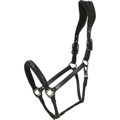Licol pour cheval en cuir Catago Novi 25.2 Noir - Publicité Licol pour cheval en cuir Catago Novi 25.2 Noir - Publicité
