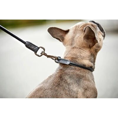 Laisse pour chien en cuir à surpiqûres rondes Catago Noir - Publicité Laisse pour chien en cuir à surpiqûres rondes Catago Noir - Publicité