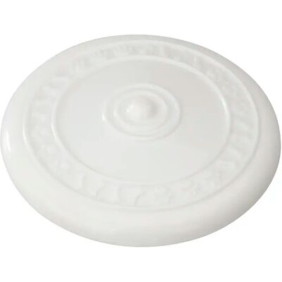 Frisbee en caoutchouc EBI - Goût à la menthe - Jouet pour chien - Publicité Frisbee en caoutchouc EBI - Goût à la menthe - Jouet pour chien - Publicité