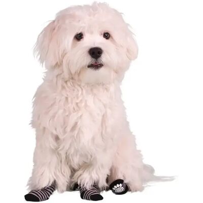 Chaussettes pour chiens Fgo - S Antidérapantes Noires Grises - Publicité Chaussettes pour chiens Fgo - S Antidérapantes Noires Grises - Publicité