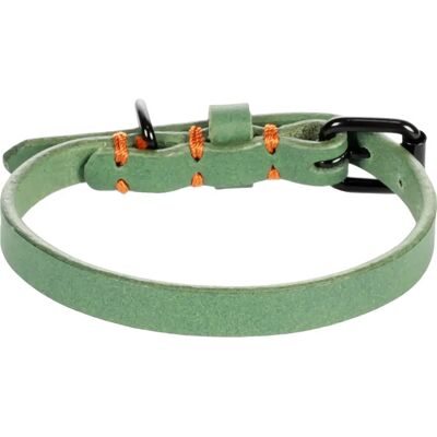 Collier pour chien Flamingo Leano Vert - Publicité Collier pour chien Flamingo Leano Vert - Publicité