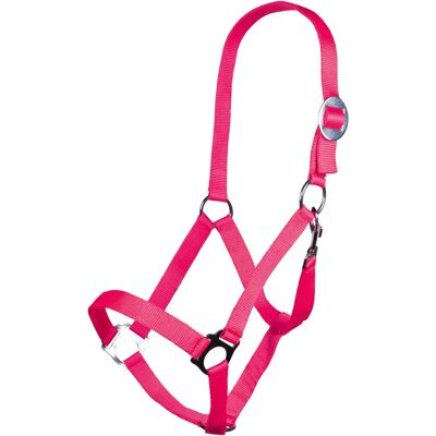 HKM SPORT EQUIPMENT - Stars economy Softice - Cob - Publicité HKM SPORT EQUIPMENT - Stars economy Softice - Cob - Publicité