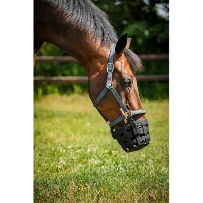 Muselière pour cheval de pâturage avec licol HorseGuard Noir - Publicité Muselière pour cheval de pâturage avec licol HorseGuard Noir - Publicité