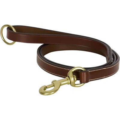 Laisse pour chien HV Polo Legacy Marron - Publicité Laisse pour chien HV Polo Legacy Marron - Publicité