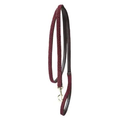 Kentucky Horsewear Marque Modèle - Laisse en nylon pour cheval et chien - Publicité Kentucky Horsewear Marque Modèle - Laisse en nylon pour cheval et chien - Publicité