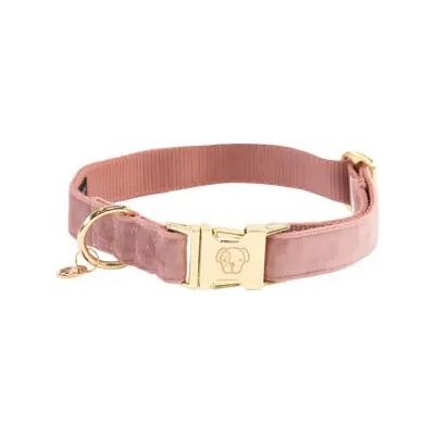 Collier pour chiens Kentucky Velvet - Rose Ancien - S - Publicité Collier pour chiens Kentucky Velvet - Rose Ancien - S - Publicité