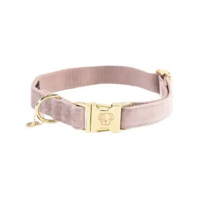 Kentucky Dogwear Collier Velours L - Collier pour Chien - Publicité Kentucky Dogwear Collier Velours L - Collier pour Chien - Publicité