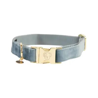 Collier en Velours Kentucky Dogwear XS Bleu Clair - Collier pour Chien - Élégant & Réglable - Publicité Collier en Velours Kentucky Dogwear XS Bleu Clair - Collier pour Chien - Élégant & Réglable - Publicité