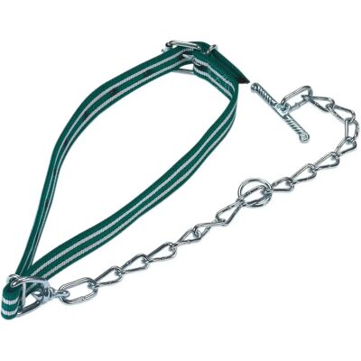 Attache-veaux standard avec chaîne Kerbl Vert - Publicité Attache-veaux standard avec chaîne Kerbl Vert - Publicité