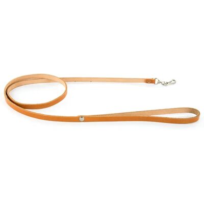 Laisse pour chien 12 croute Martin Sellier Orange - Publicité Laisse pour chien 12 croute Martin Sellier Orange - Publicité
