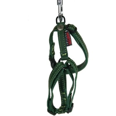 Harnais pour chien cuir vachette Martin Sellier Reg Nature Vert - Publicité Harnais pour chien cuir vachette Martin Sellier Reg Nature Vert - Publicité